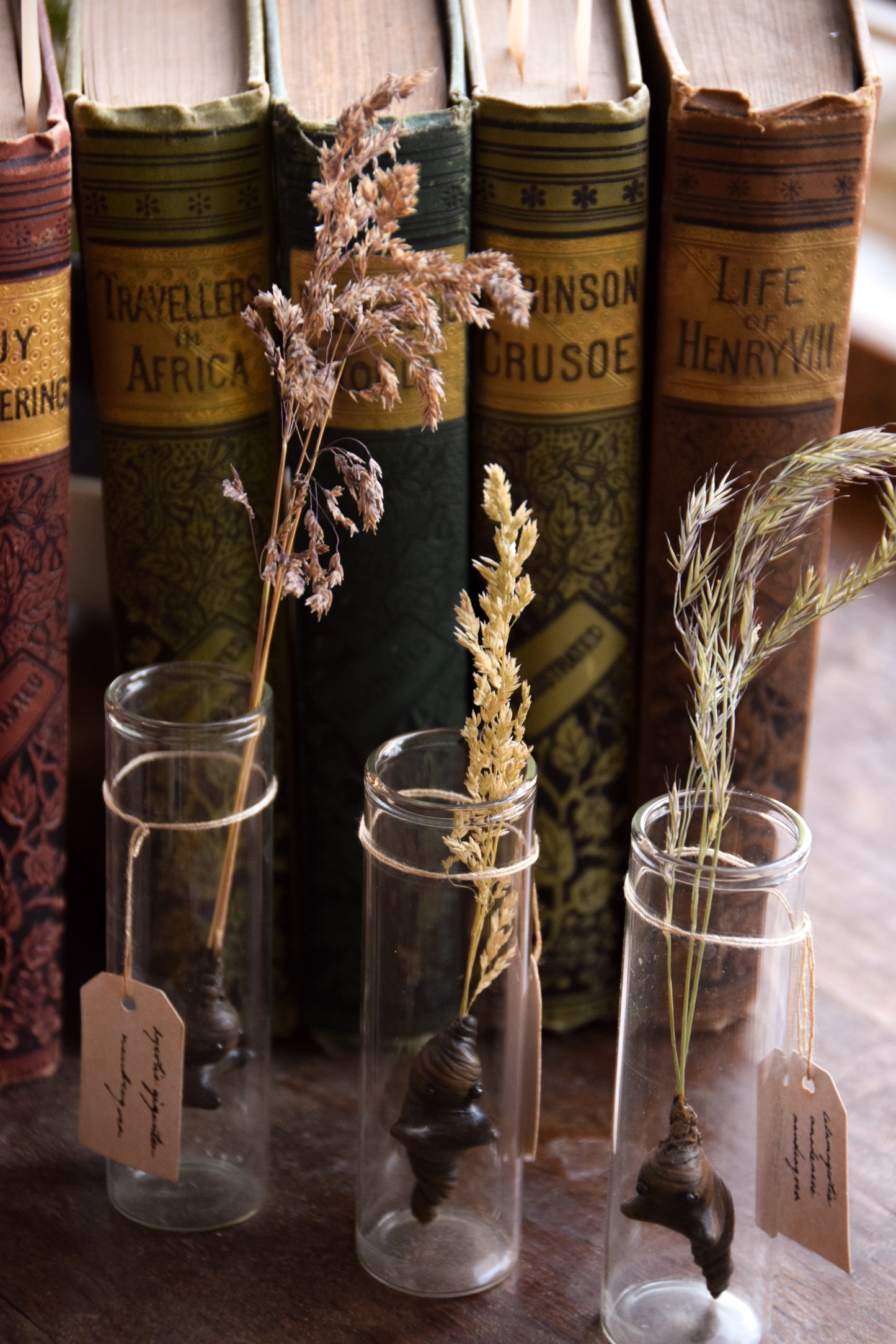 Grass Mandrake - PolymerClay Figurine in a test tube