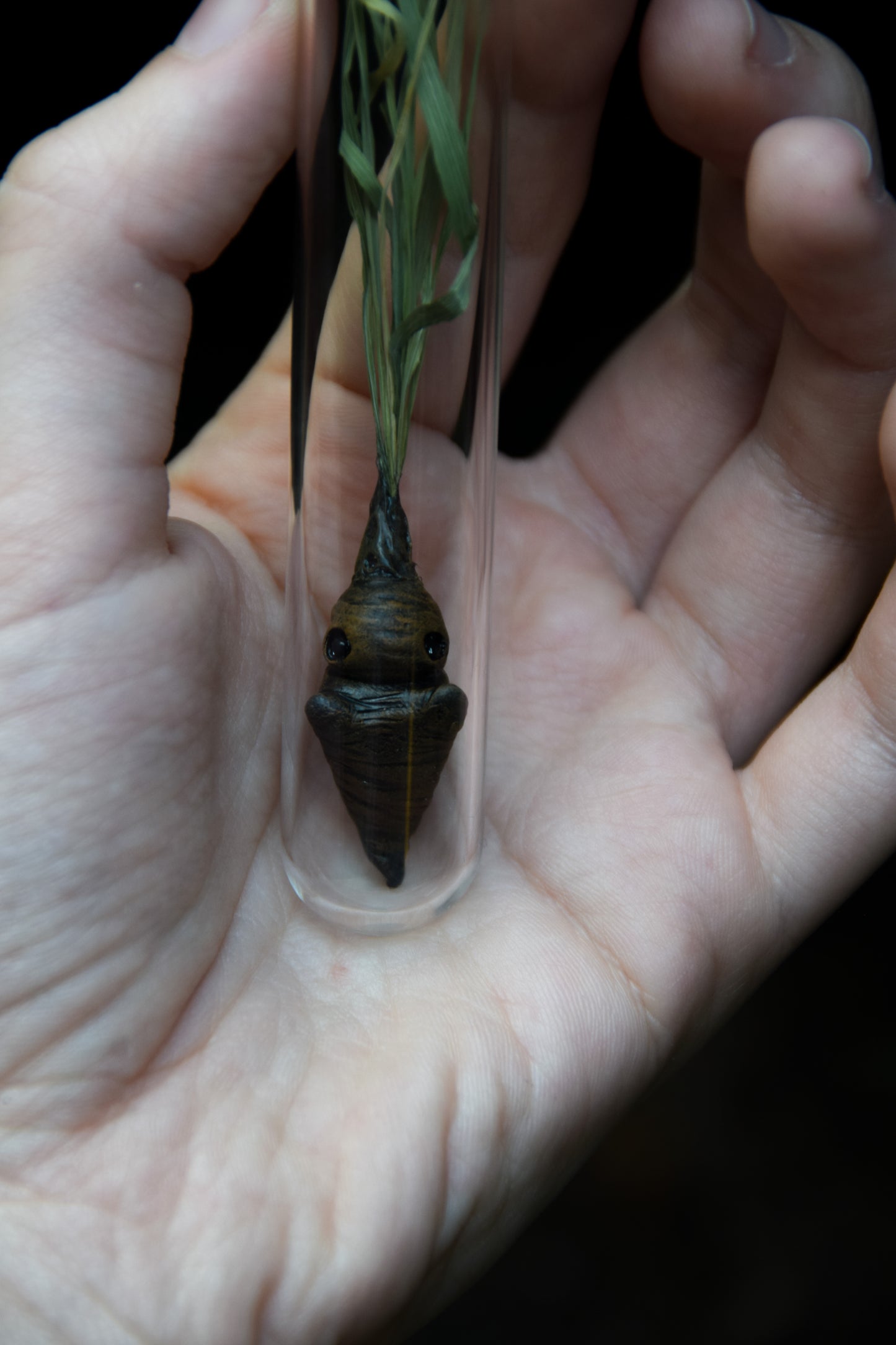 Grass Mandrake - PolymerClay Figurine in a test tube