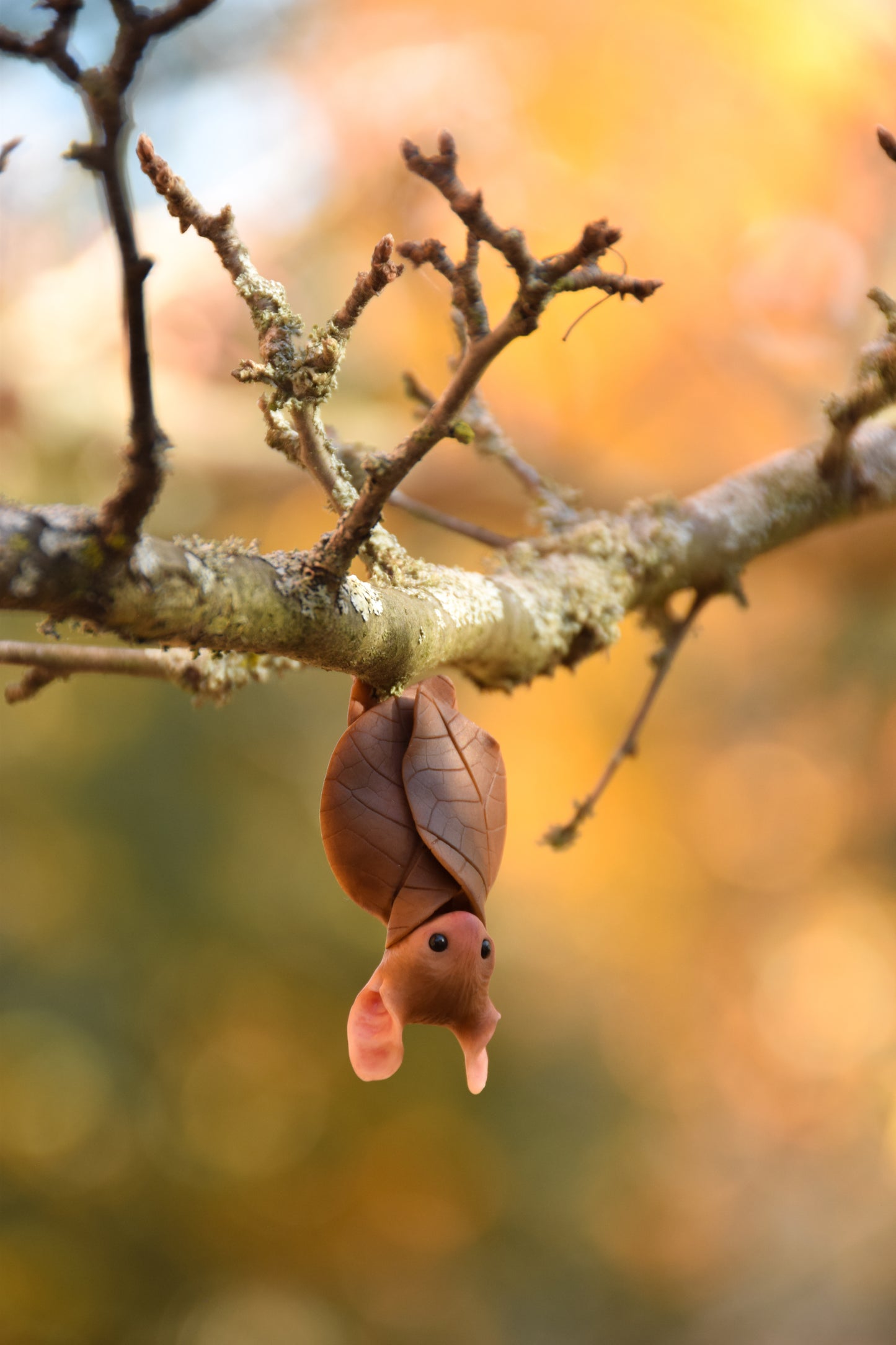 The Leaf Bat