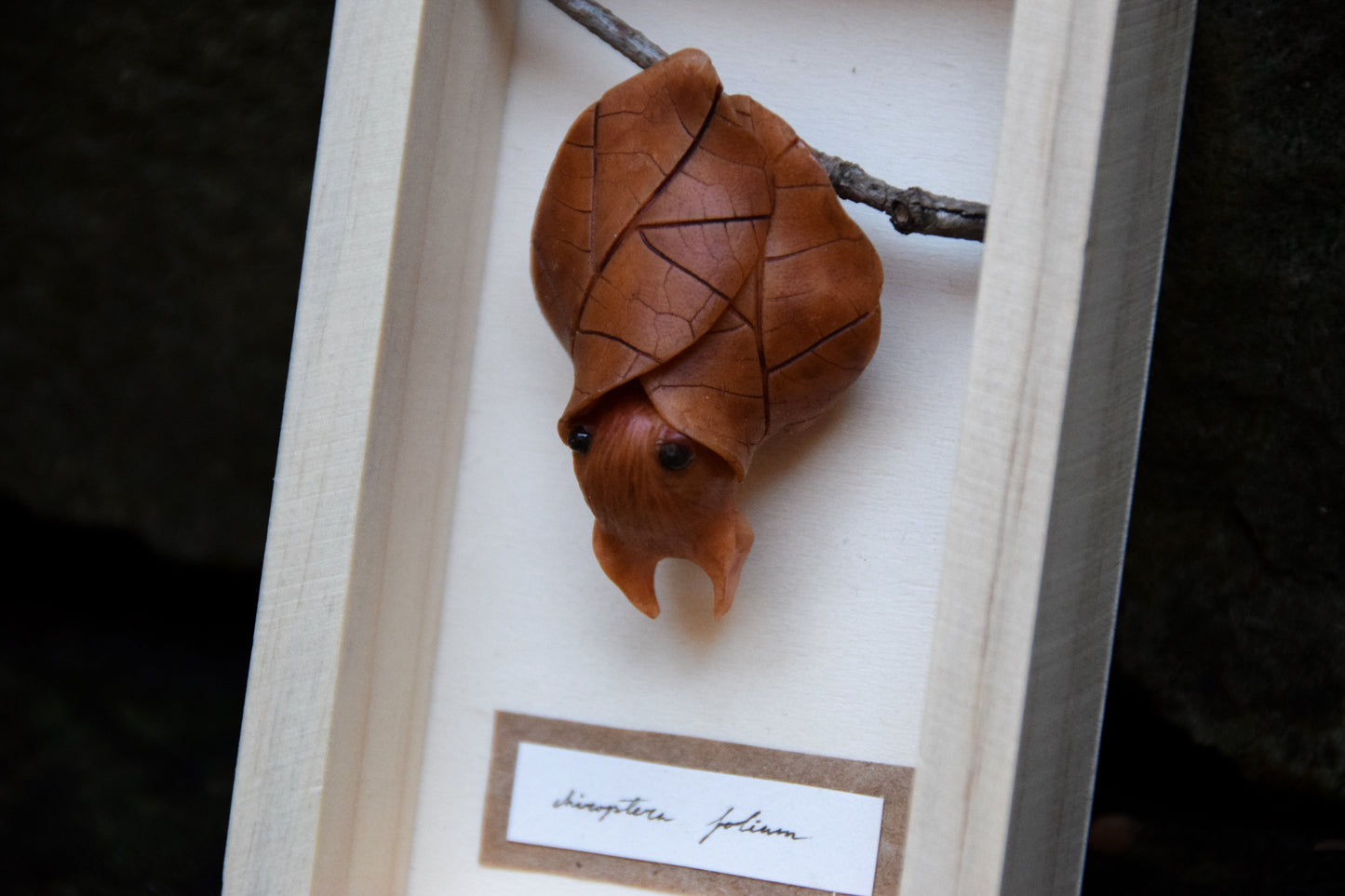 The Leaf Bat