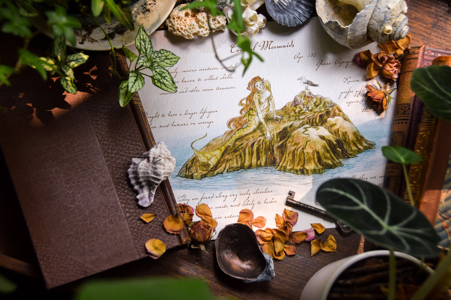 Coastal Mermaid - Giclée Art Print