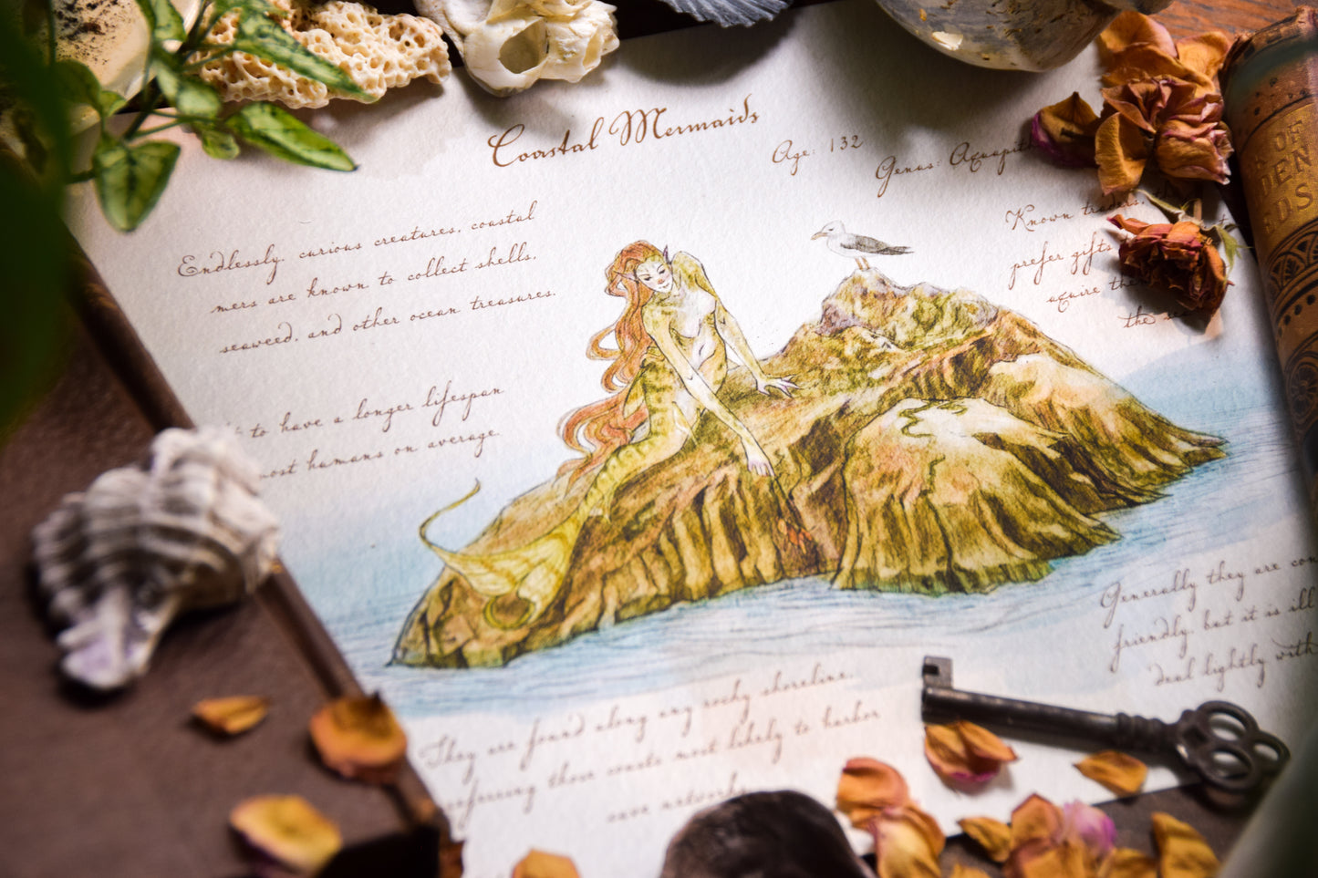 Coastal Mermaid - Giclée Art Print