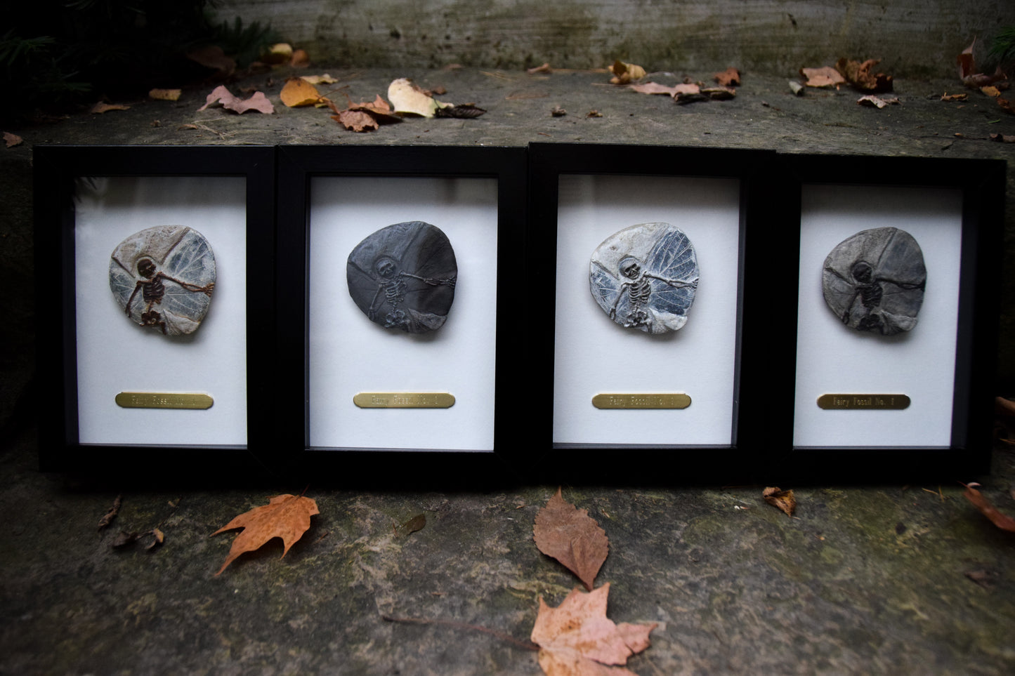 Fairy Fossil - Mini Framed Fairy Bones