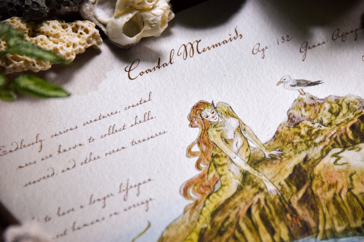 Coastal Mermaid - Giclée Art Print