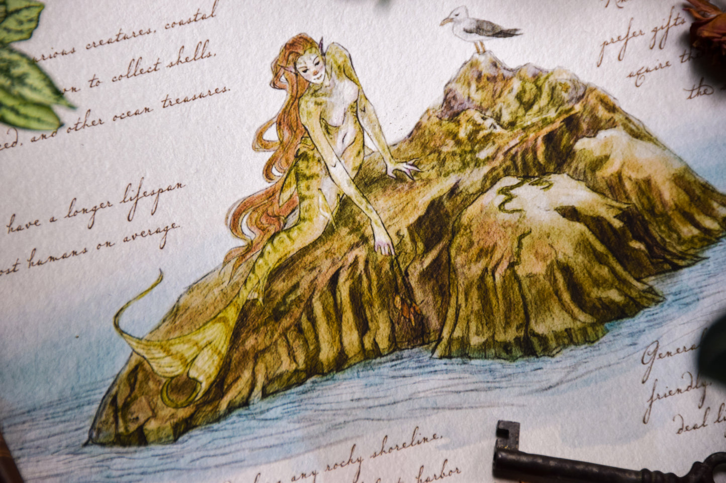 Coastal Mermaid - Giclée Art Print