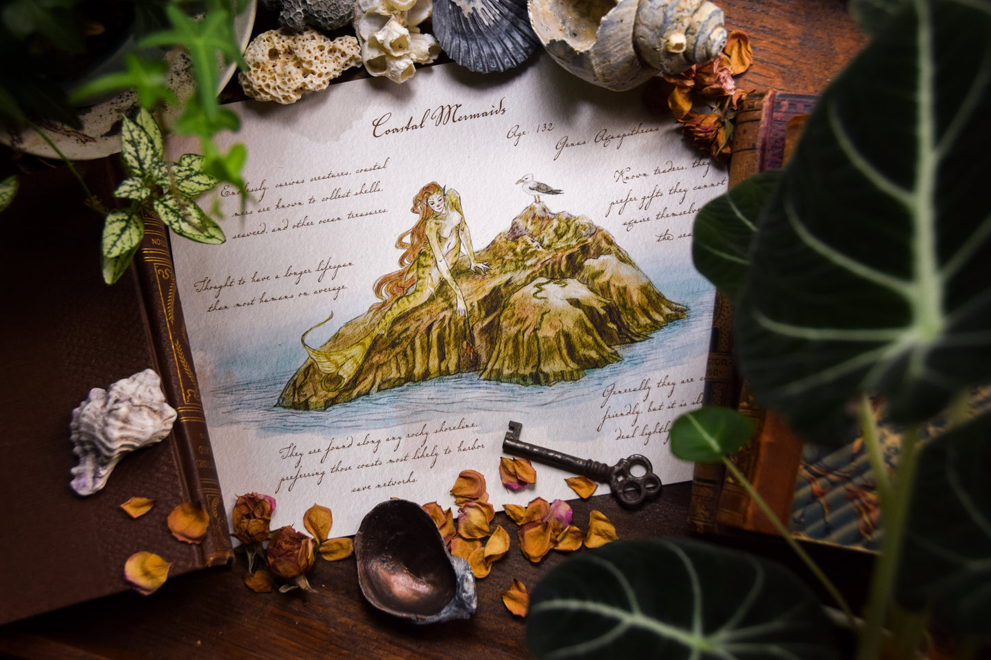 Coastal Mermaid - Giclée Art Print