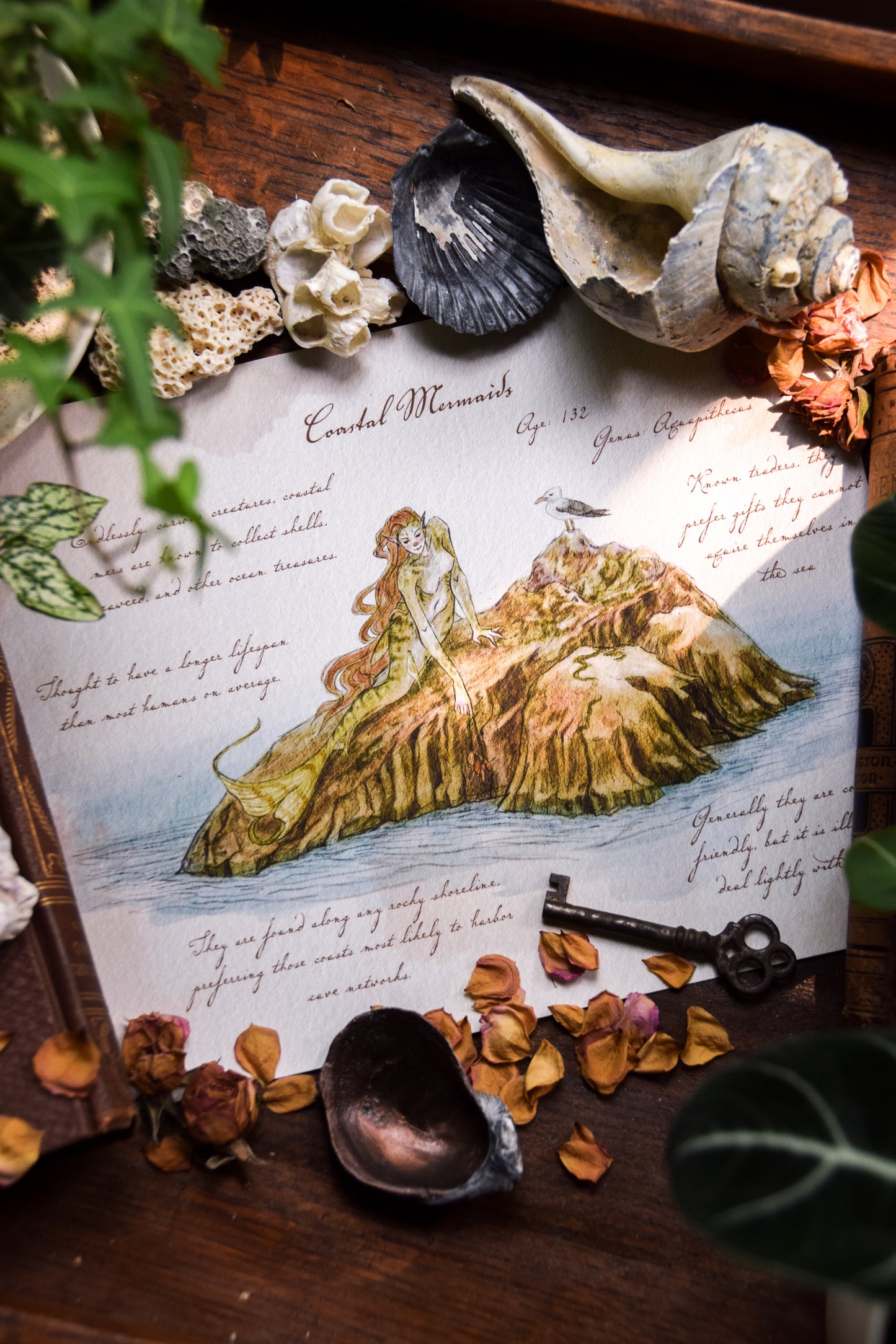 Coastal Mermaid - Giclée Art Print