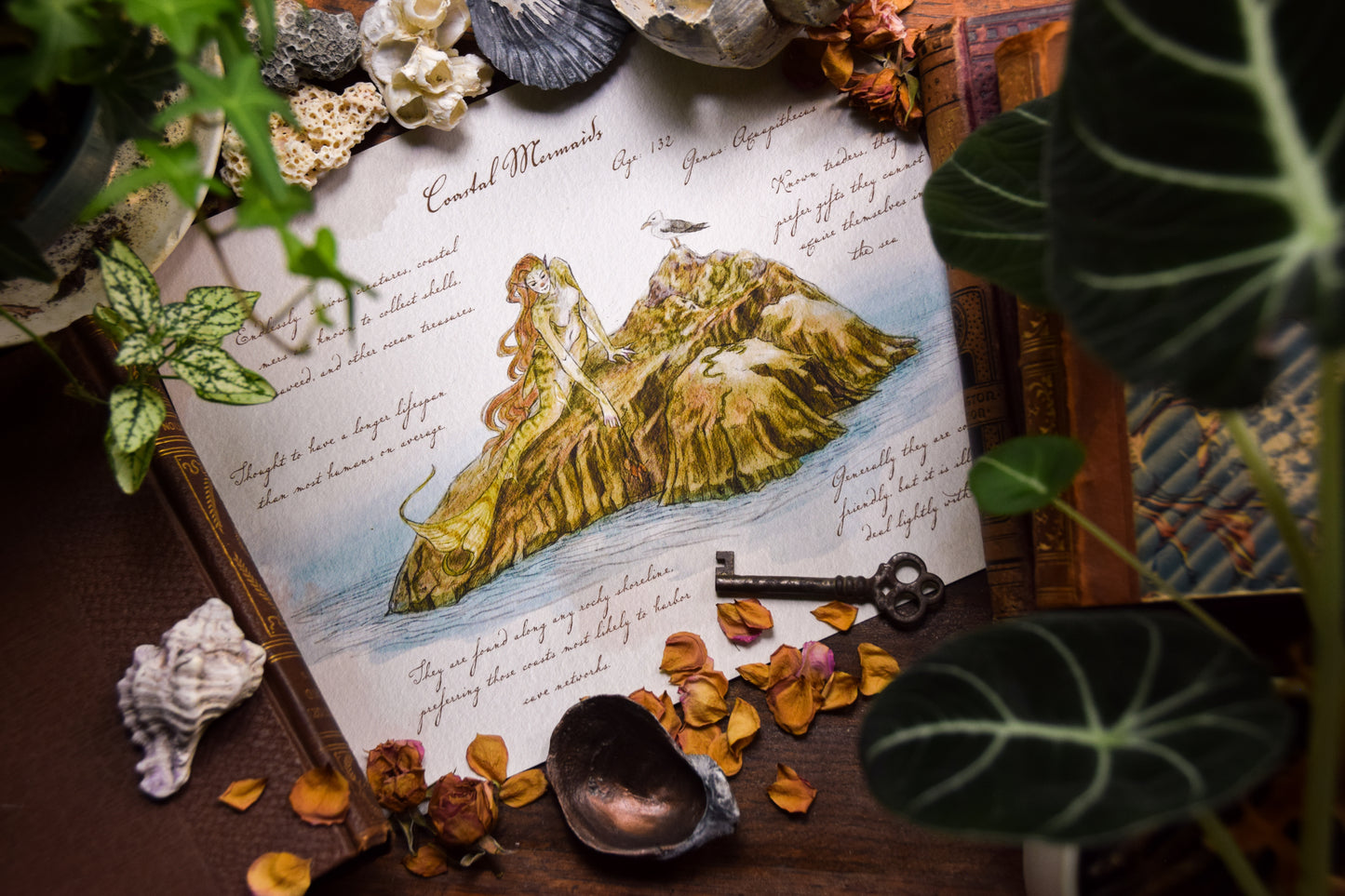 Coastal Mermaid - Giclée Art Print