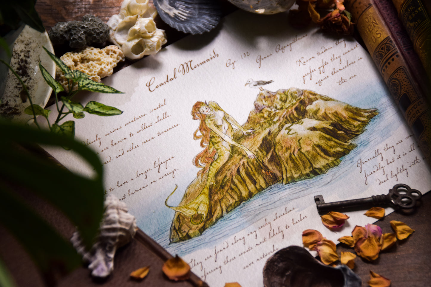 Coastal Mermaid - Giclée Art Print