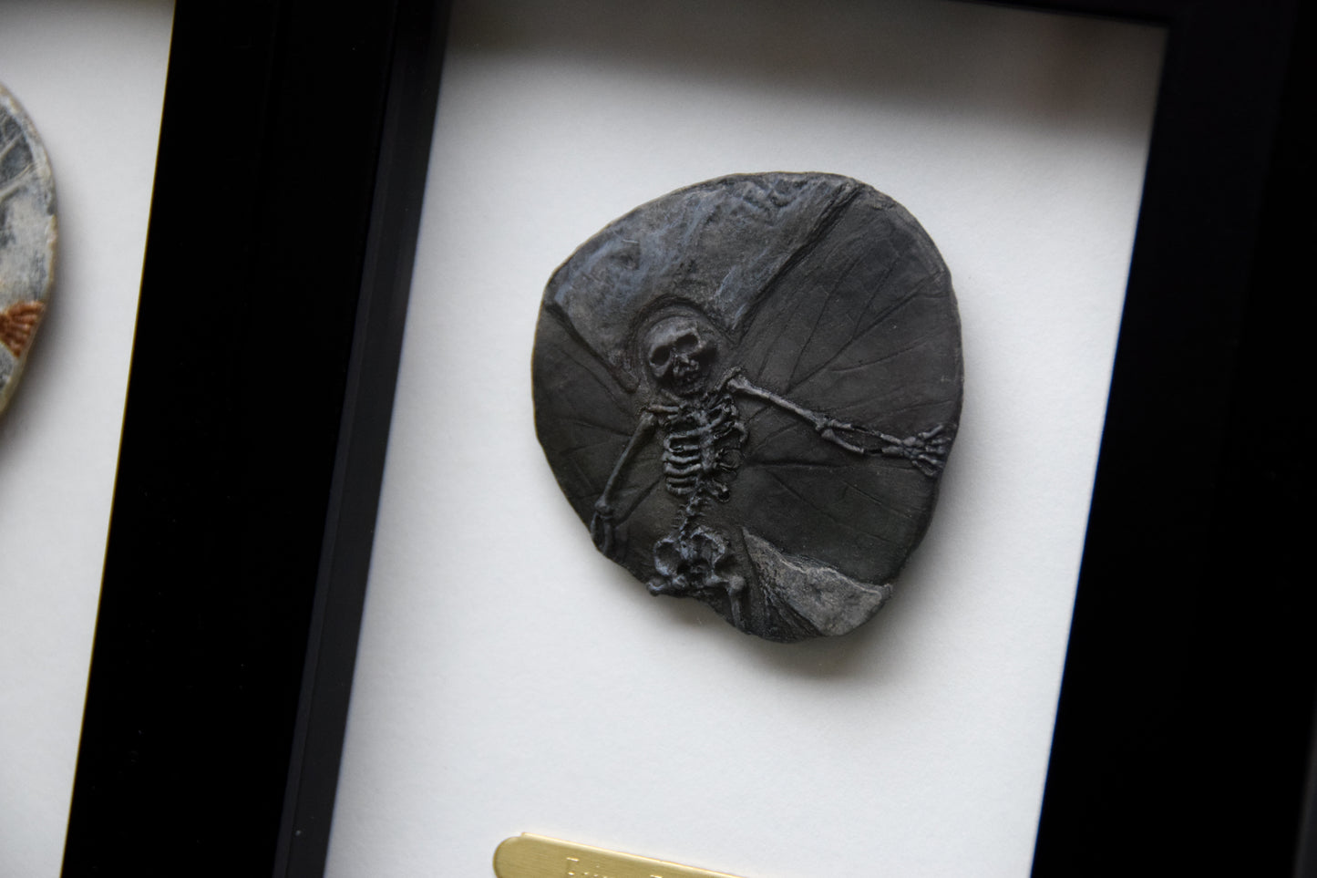 Fairy Fossil - Mini Framed Fairy Bones
