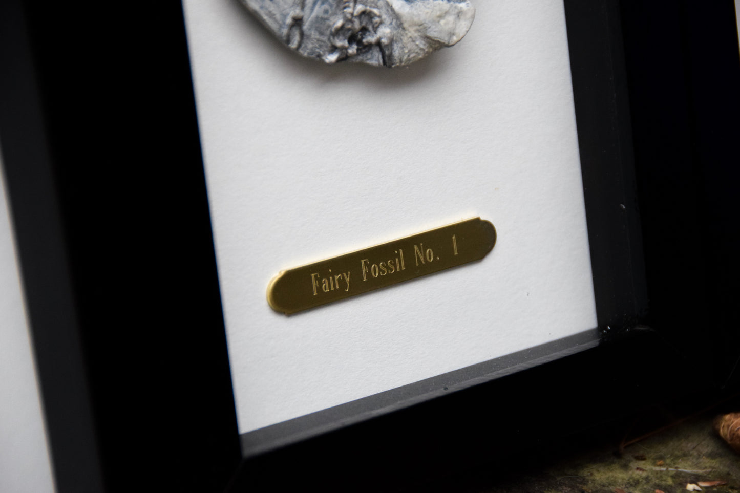 Fairy Fossil - Mini Framed Fairy Bones
