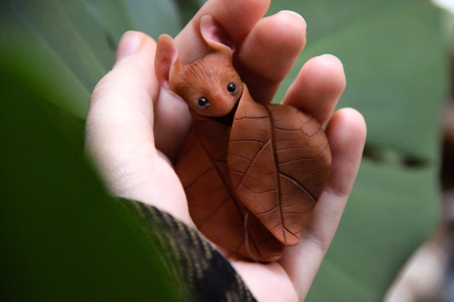 The Leaf Bat