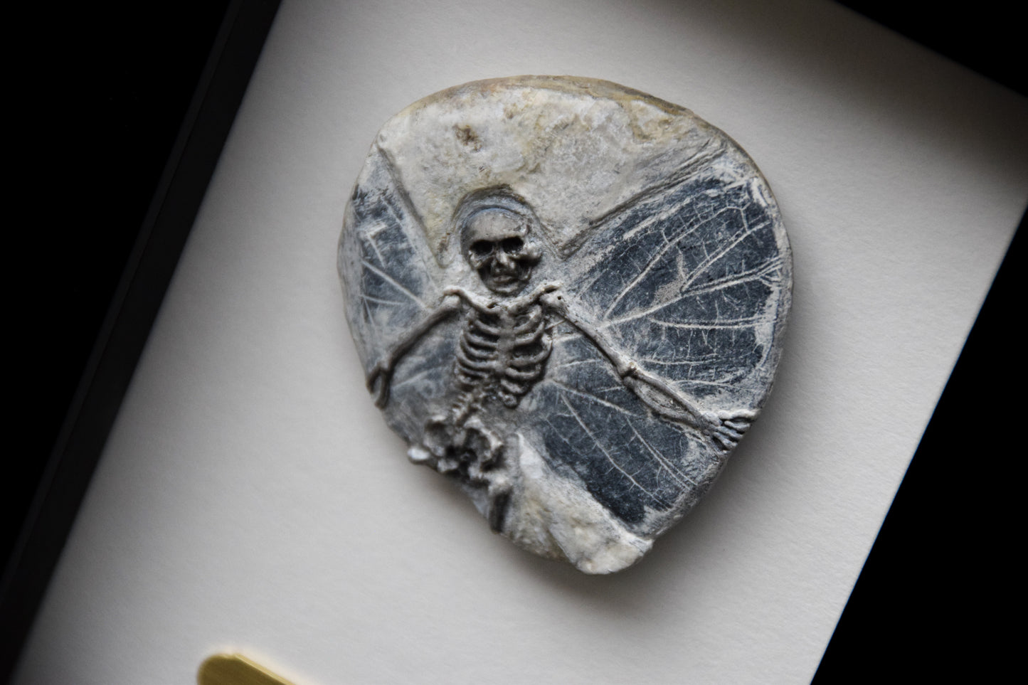 Fairy Fossil - Mini Framed Fairy Bones