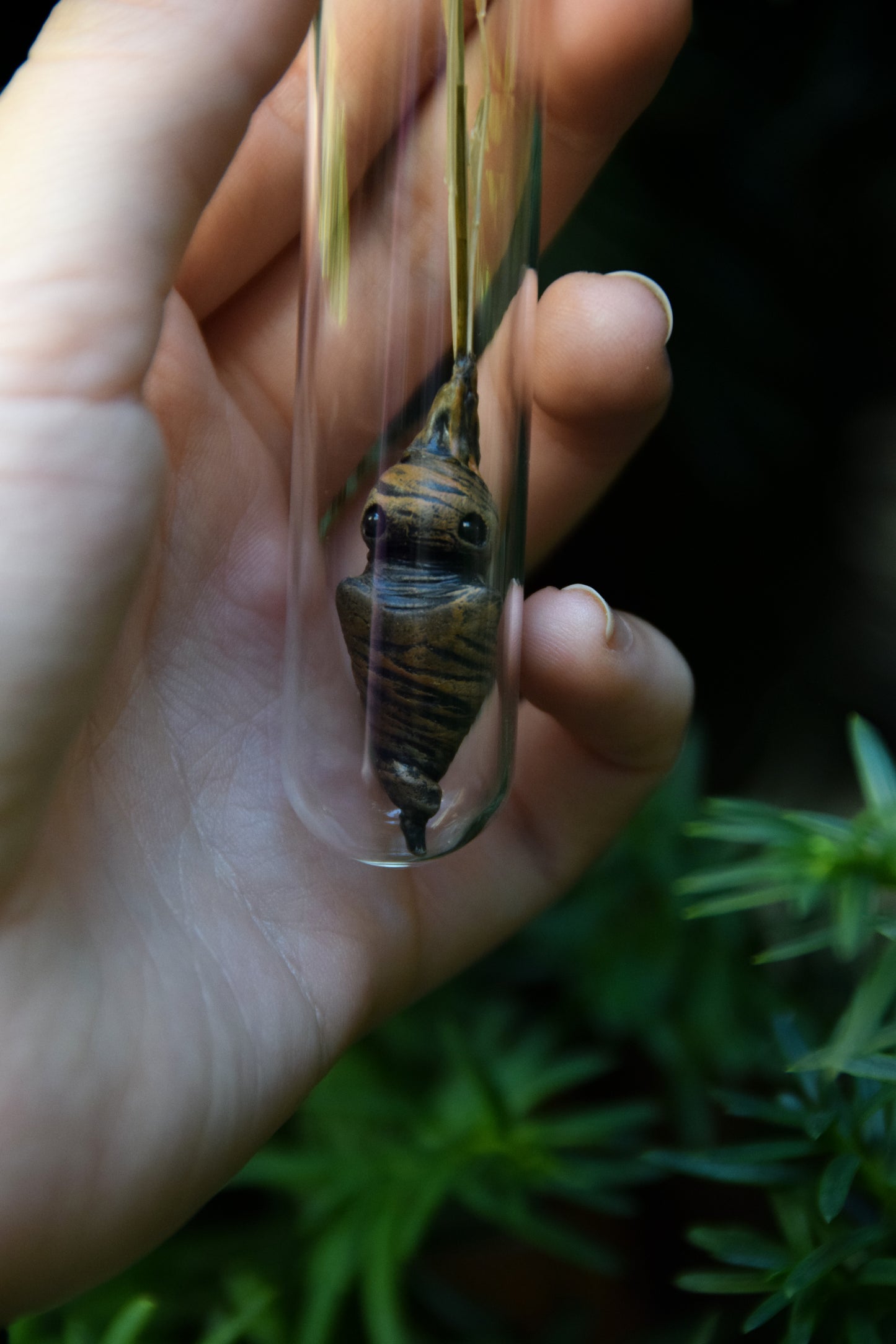 Grass Mandrake - PolymerClay Figurine in a test tube