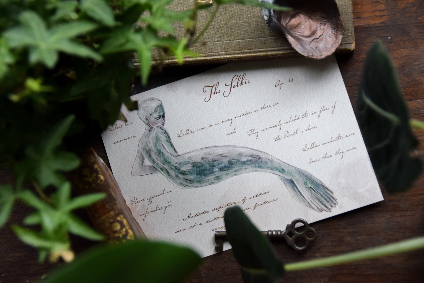 Selkie with Notes - Giclée Art Print
