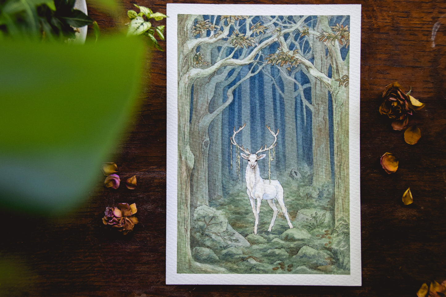 White Stag in the Dark Woods - Giclée Art Print
