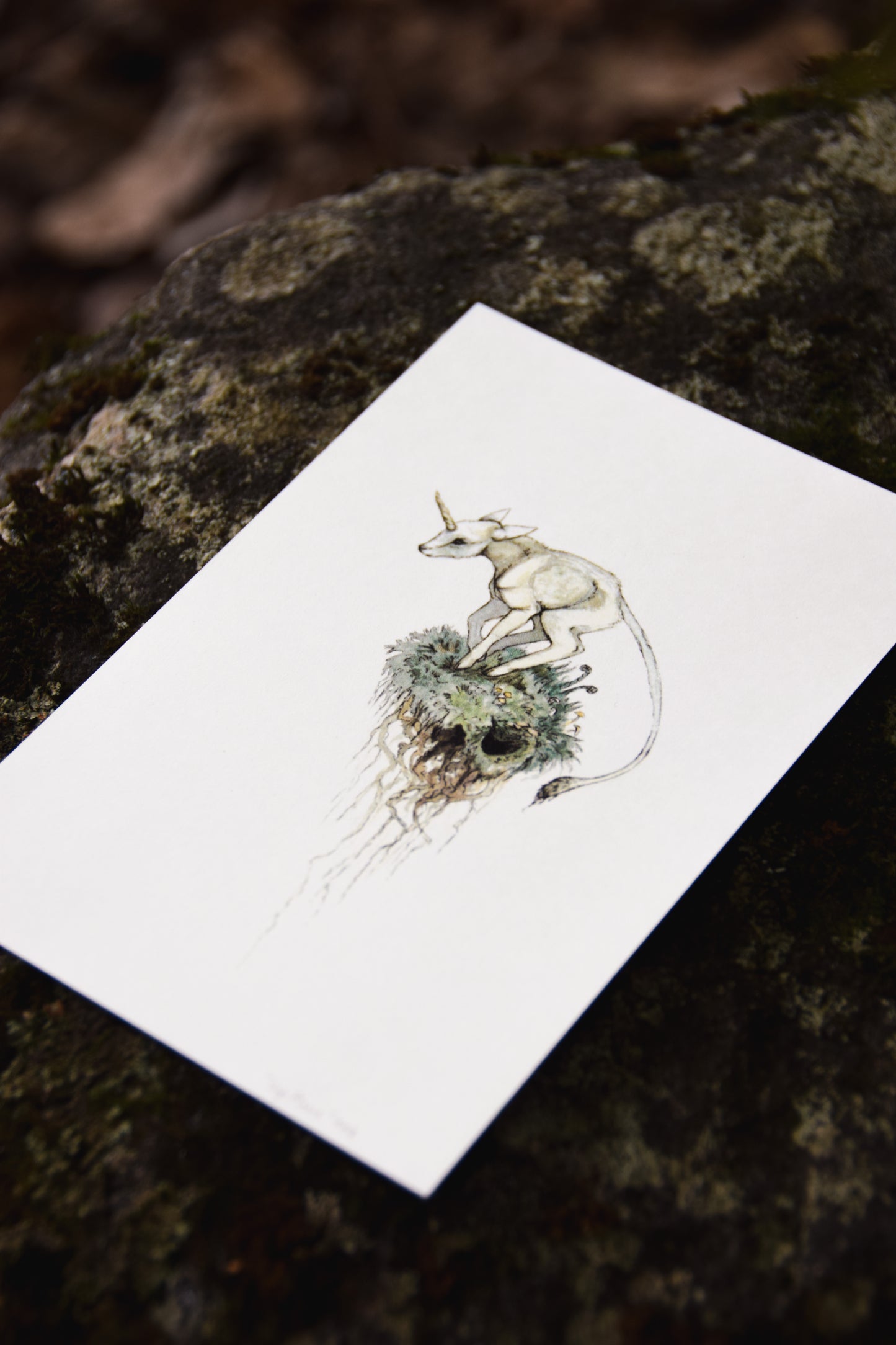 Mini Unicorn - Giclée Art Print