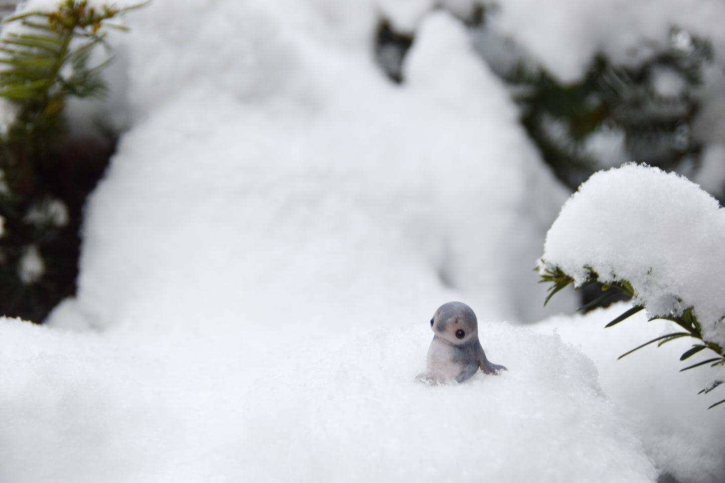 Seal Pups - PolymerClay Figurine