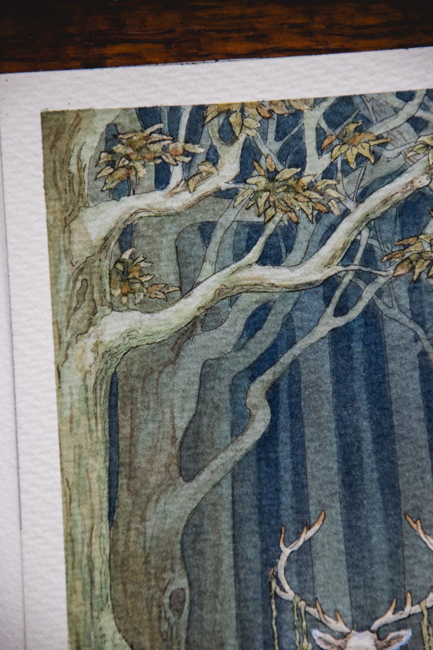White Stag in the Dark Woods - Giclée Art Print