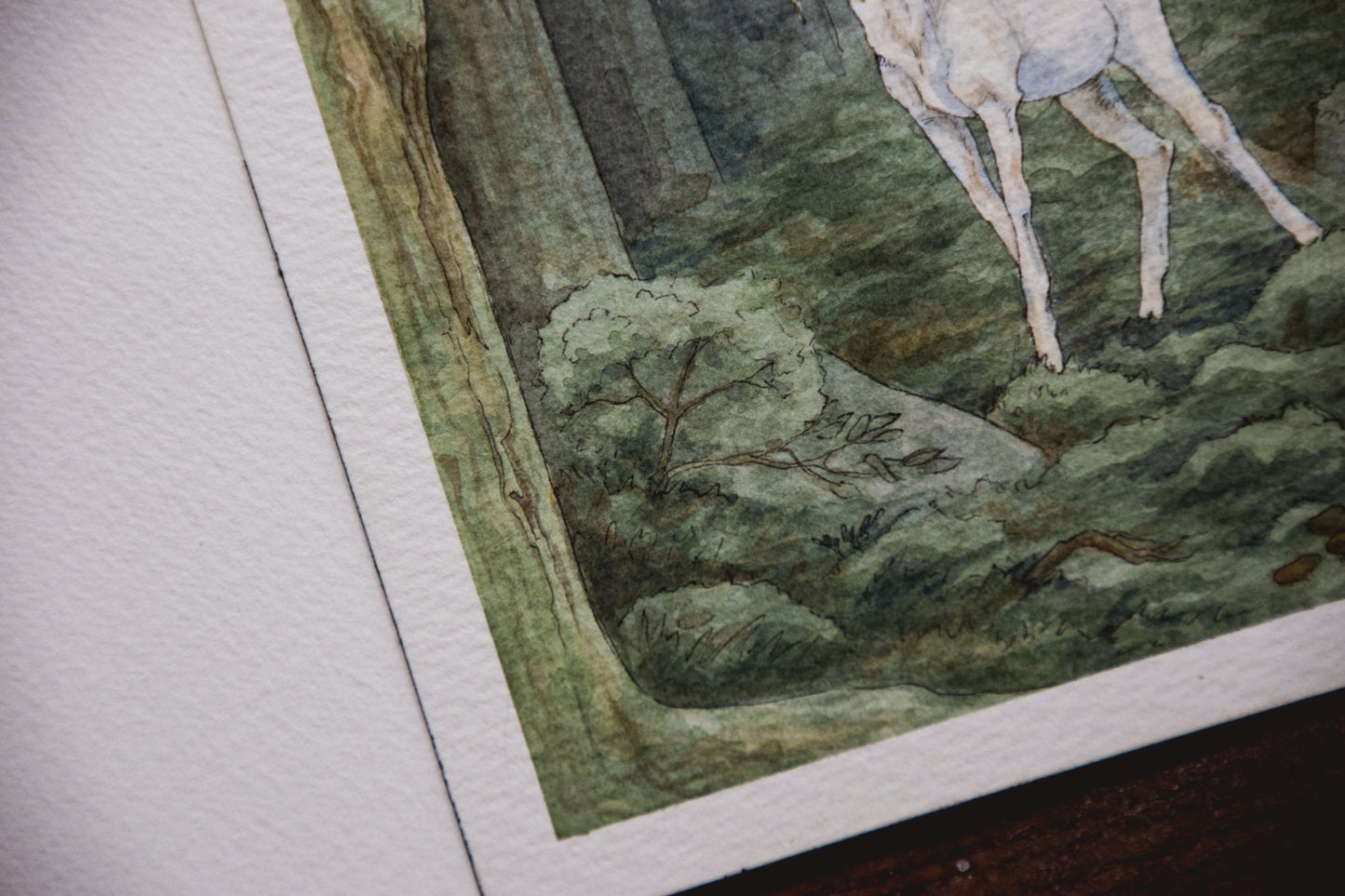 White Stag in the Dark Woods - Giclée Art Print