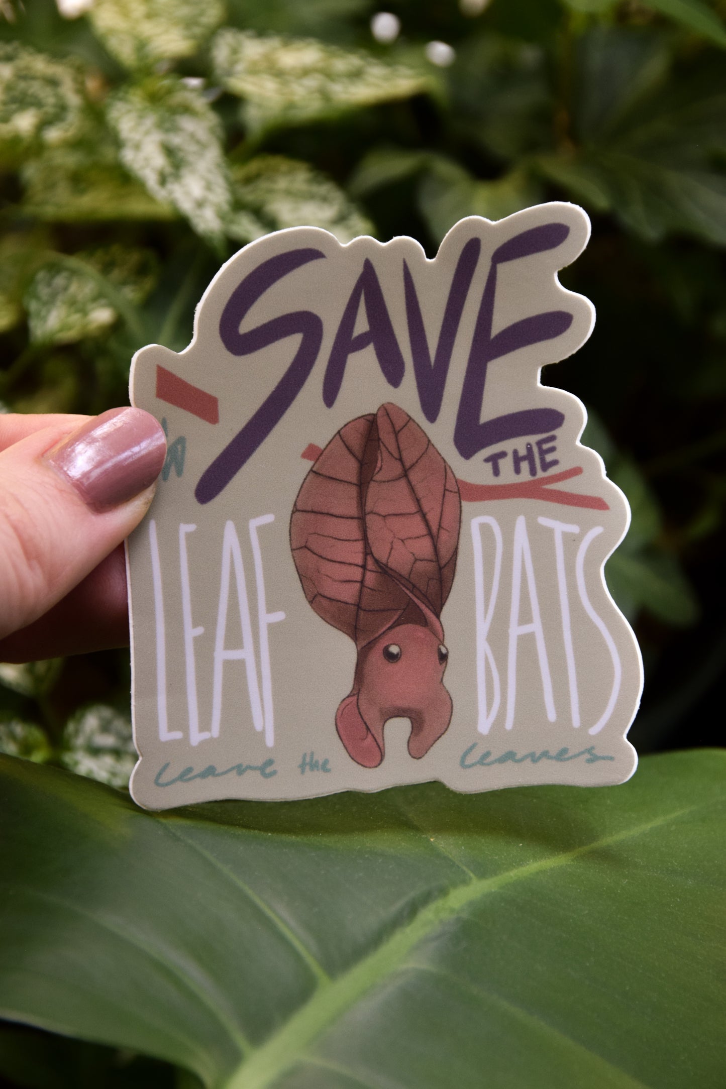Leaf Bat Awareness - Vinyl Sticker