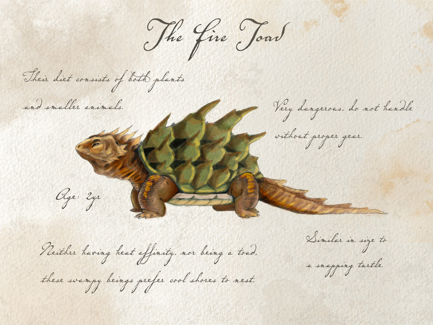 Fire Toad with Notes - Giclée Art Print
