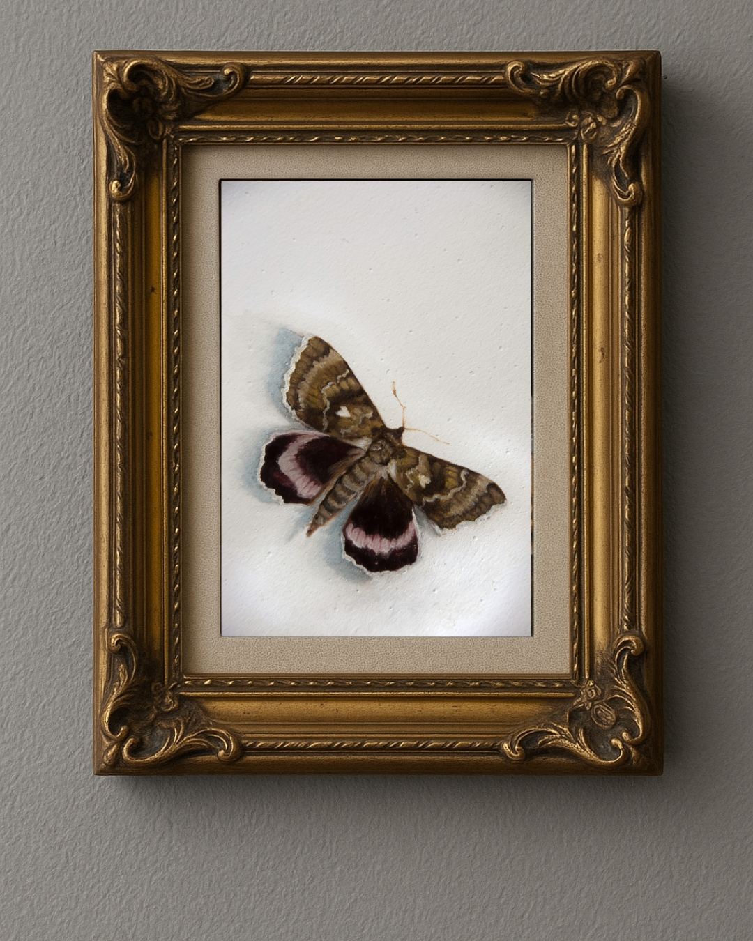 Moth - Giclée Art Print