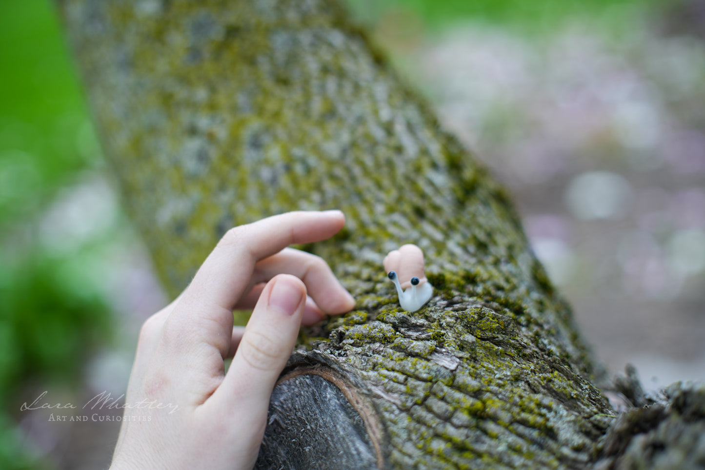 Mini Snails