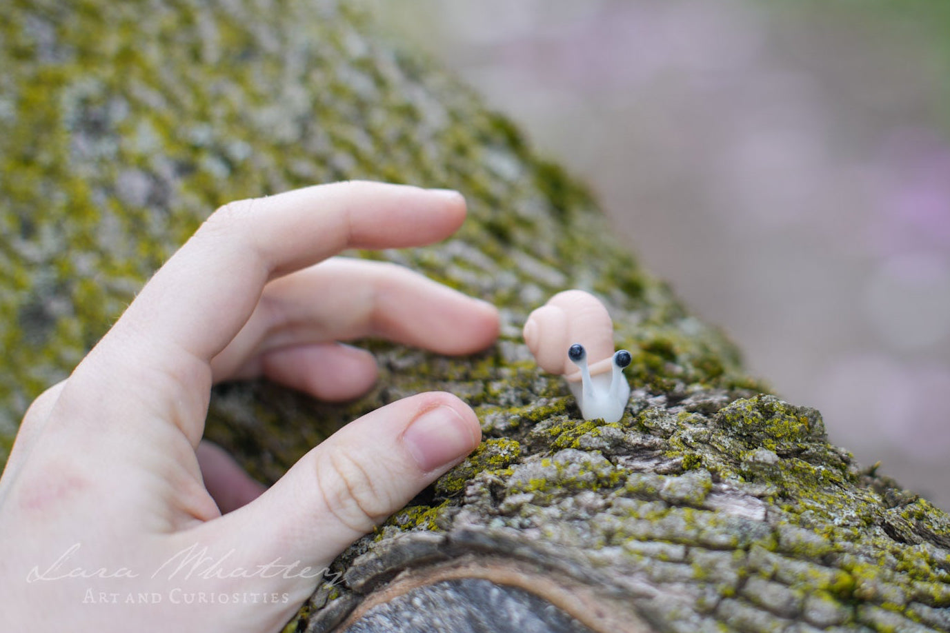 Mini Snails