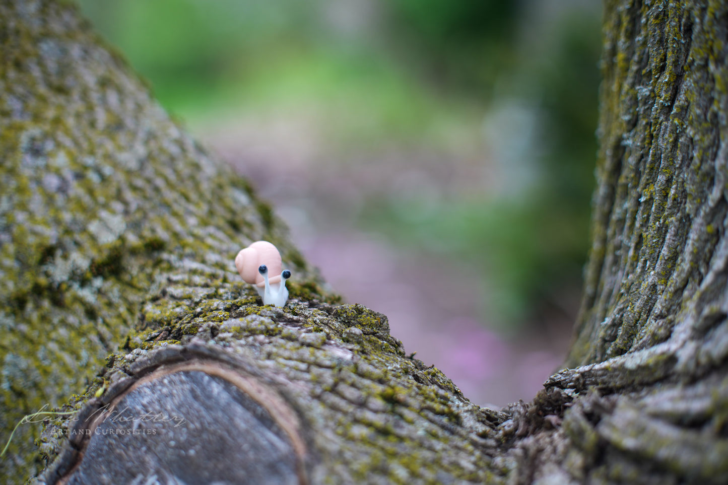 Mini Snails