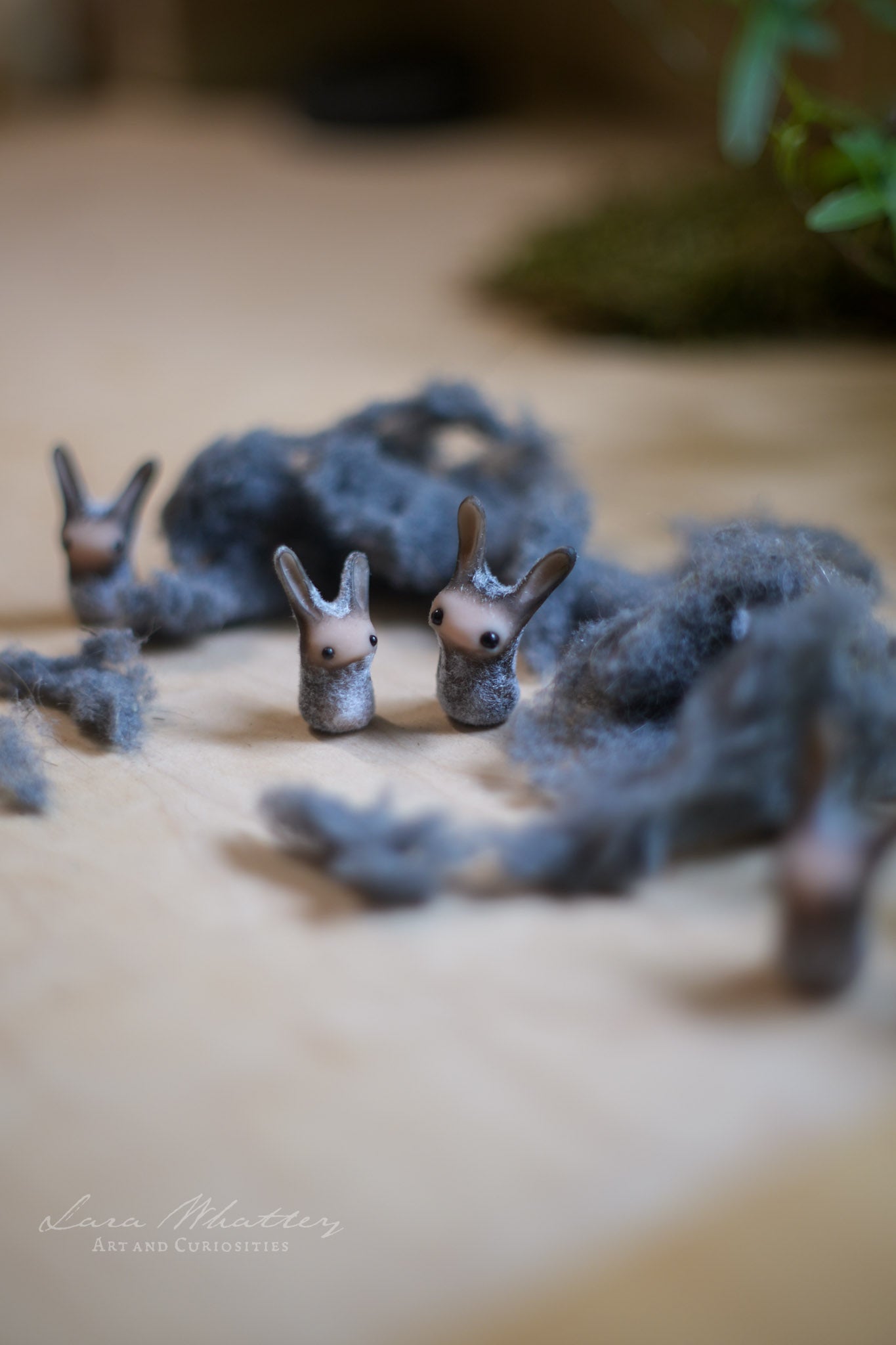 Miniature Dust Bunny