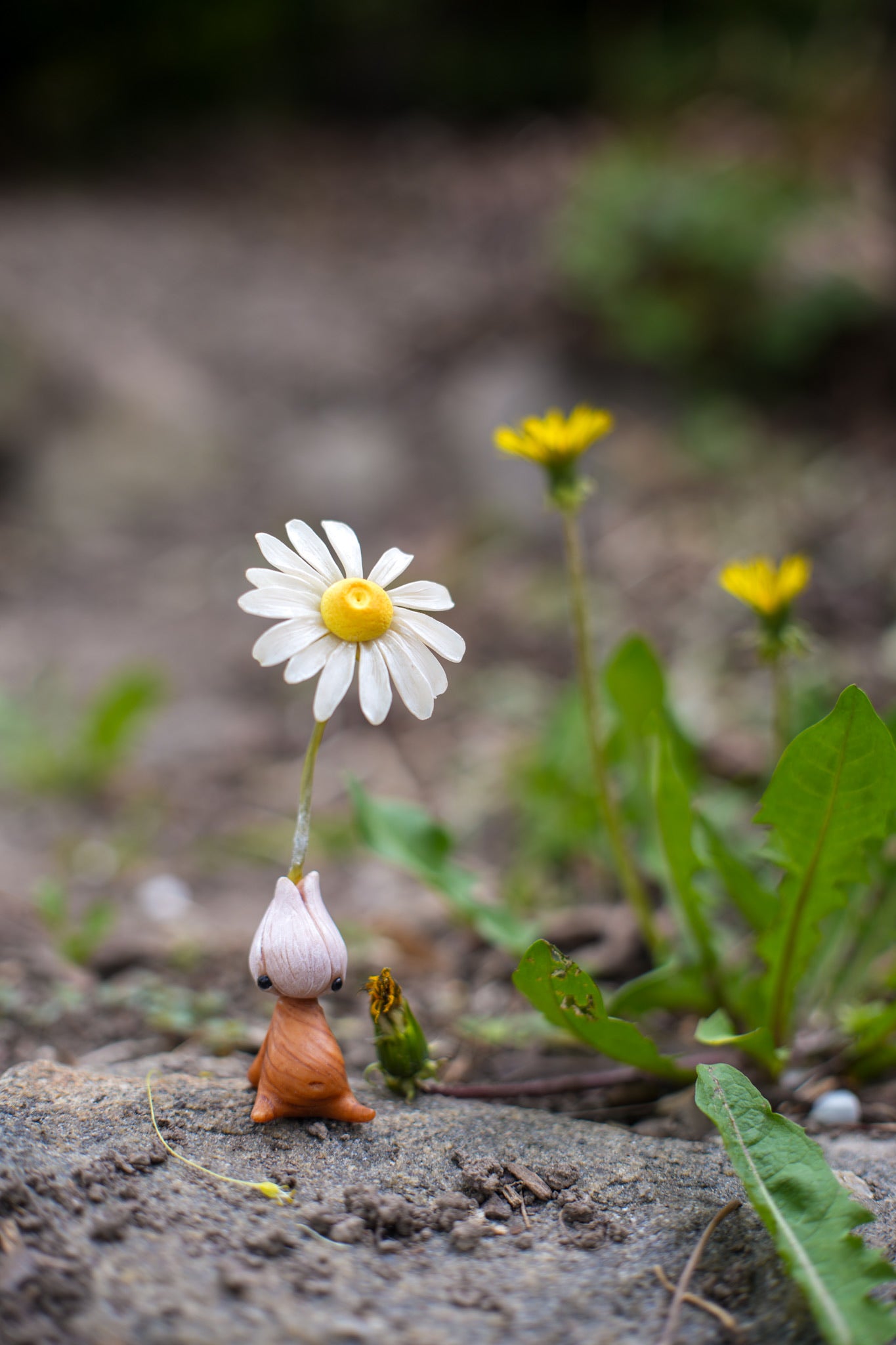 PATRON RESERVE LISTING - Daisy, Two mushies, and a Grass mandrake