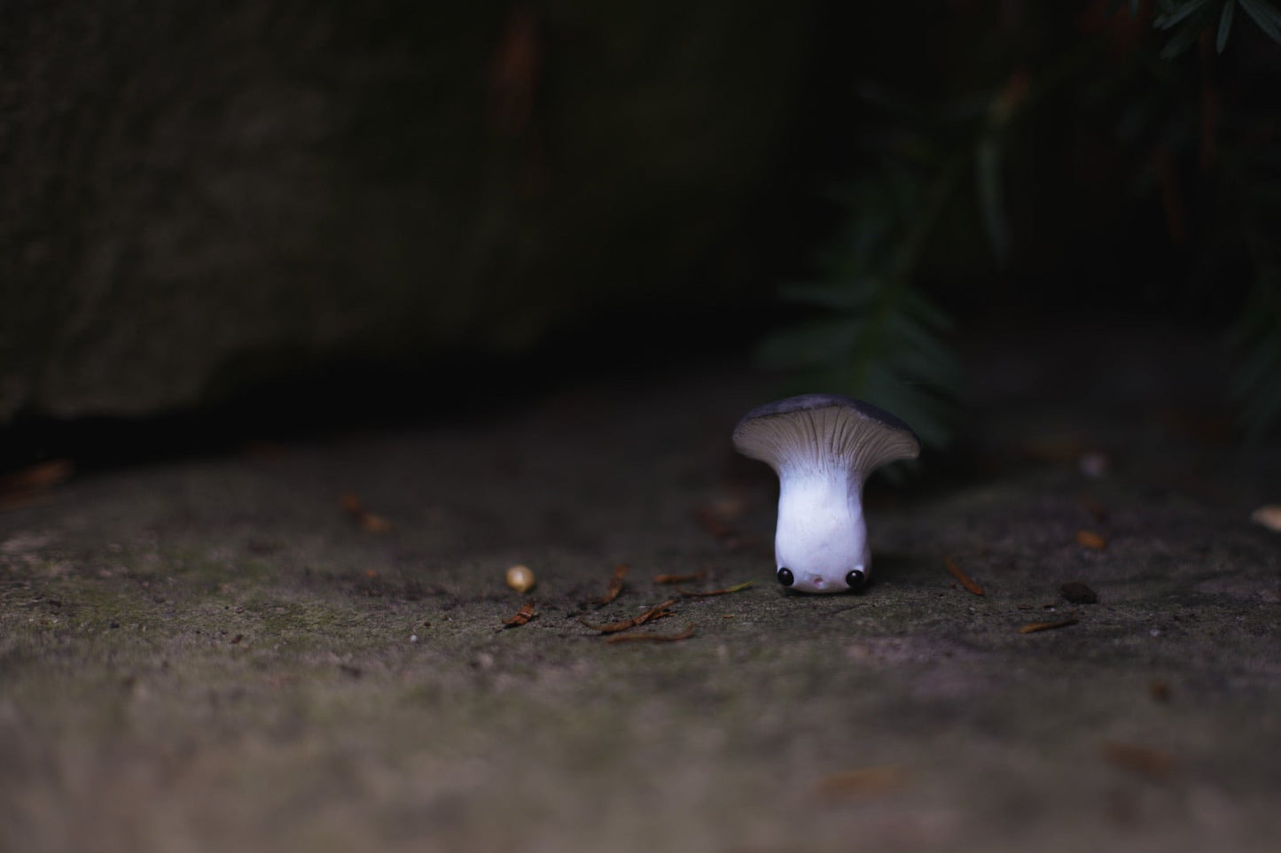 Mushroom growing on a forest floor with a dark background