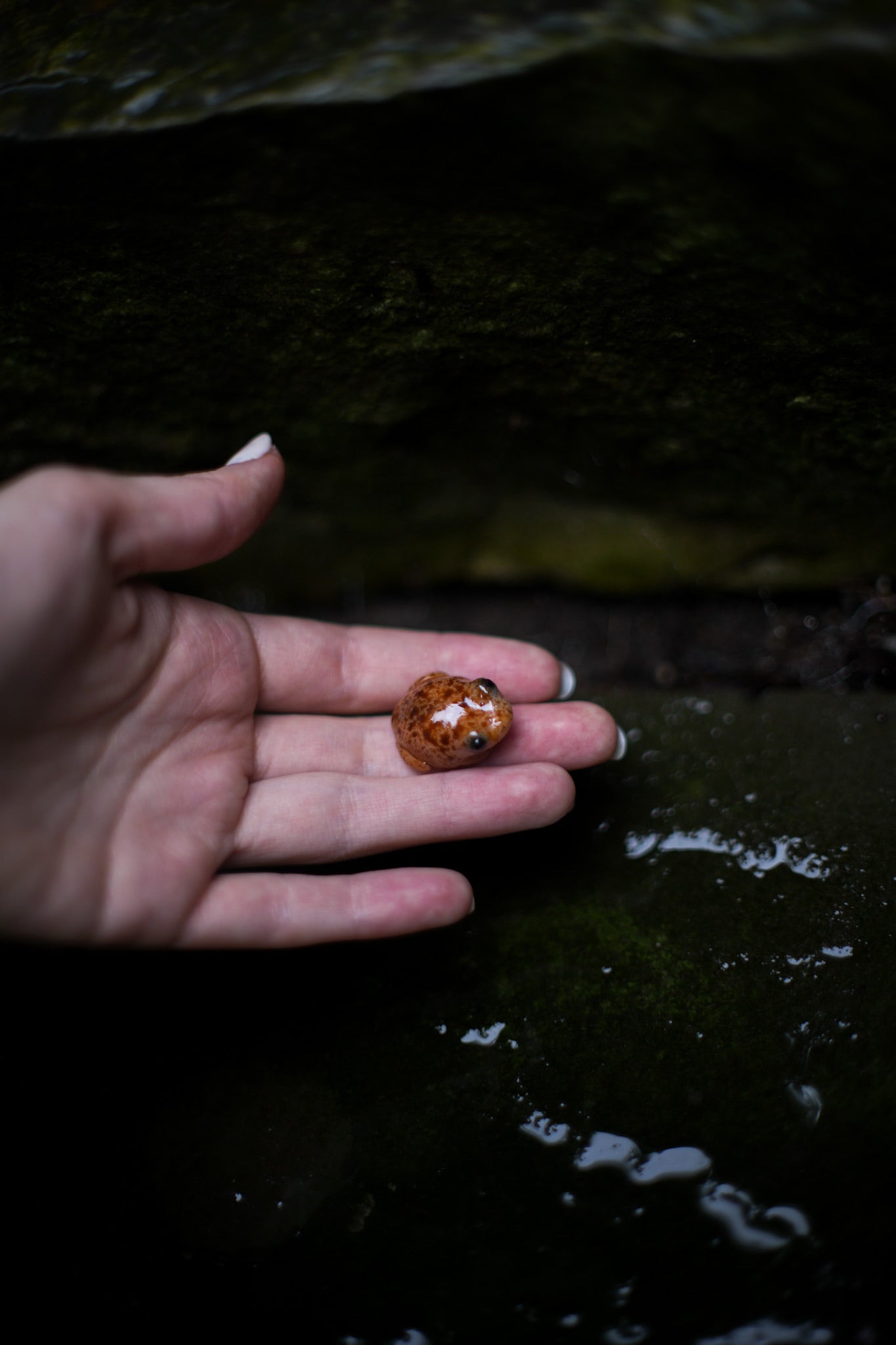 Toads — PolymerClay Figurine