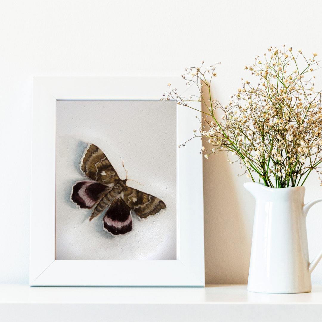 Moth - Giclée Art Print