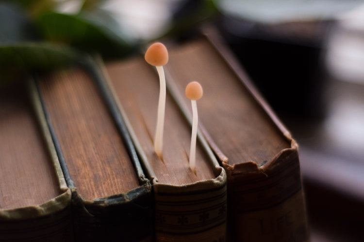 Bookmarks