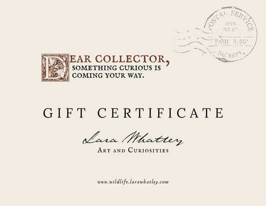 Gift Certificate