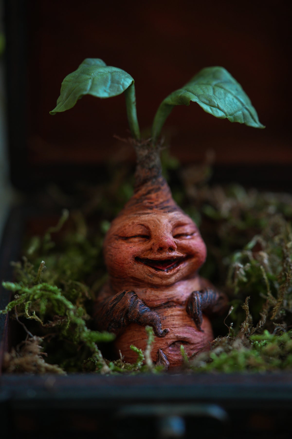 Mandrake Root