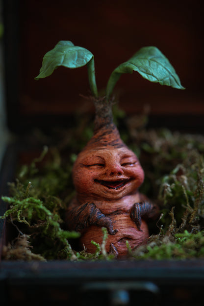 Mandrake Root