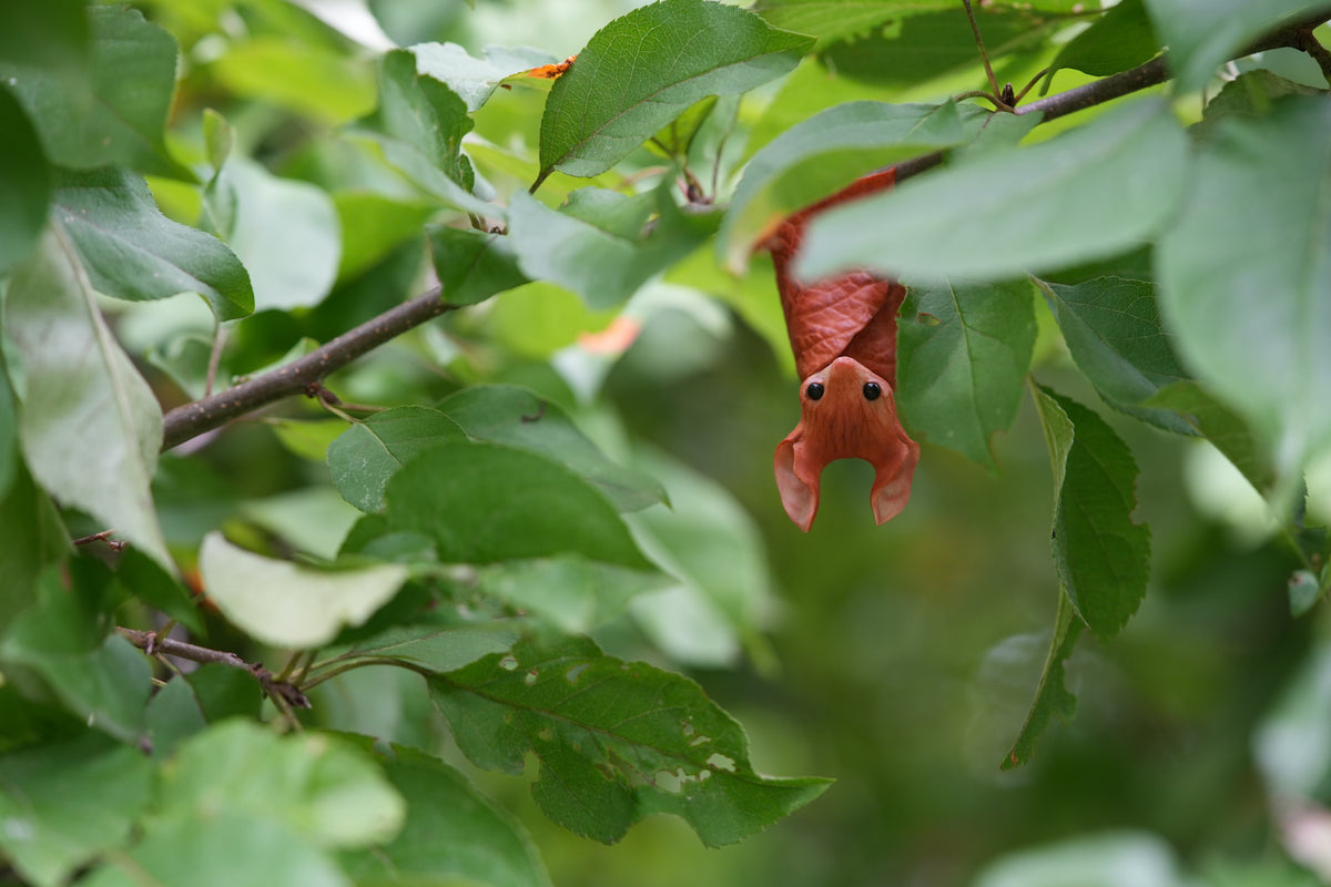 The Leaf Bat