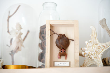 The Leaf Bat