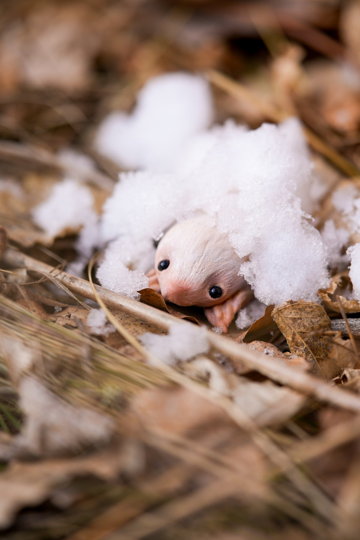 The Snow Mole — Miniature Fantasy Creature