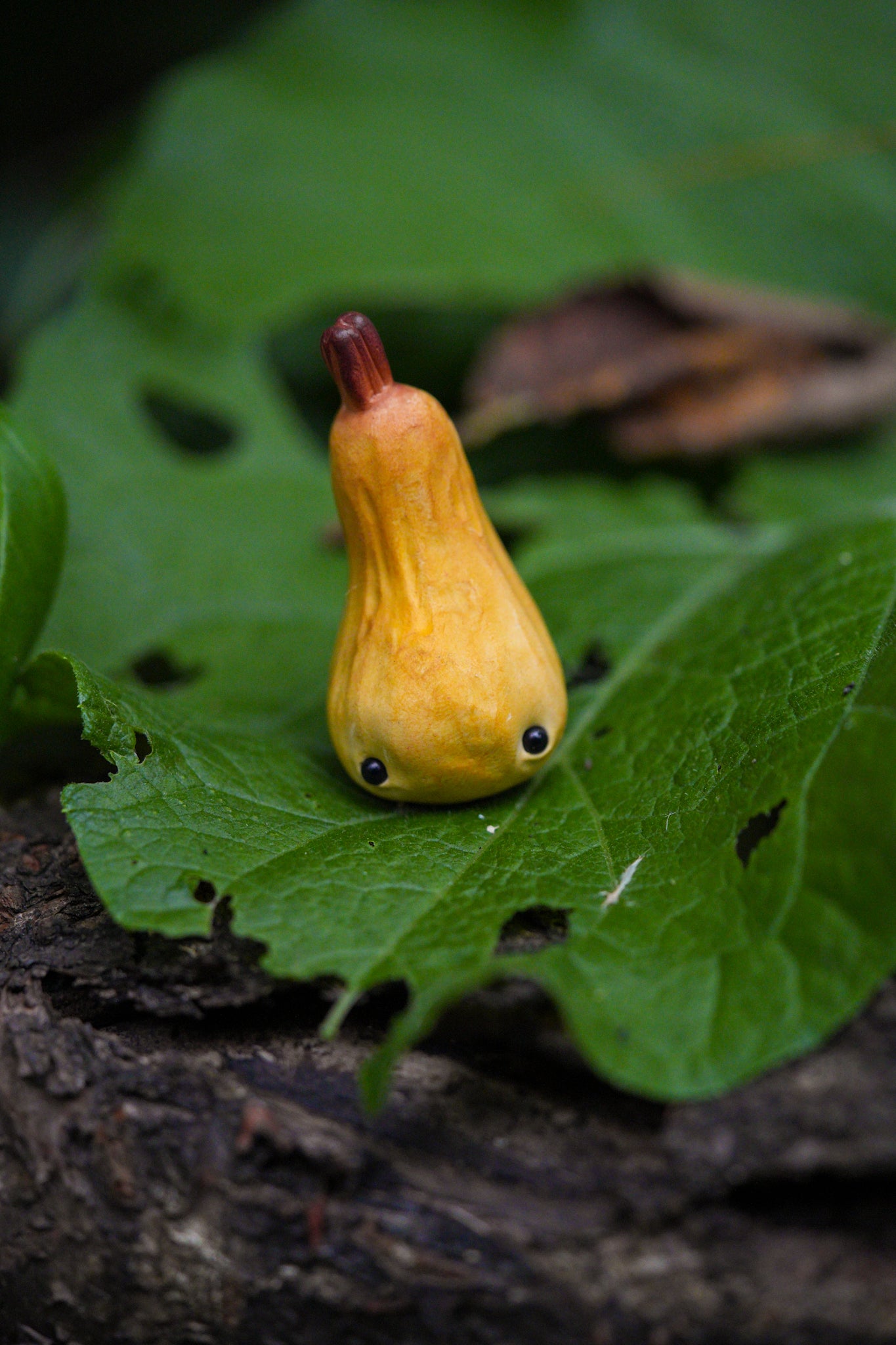 Squash