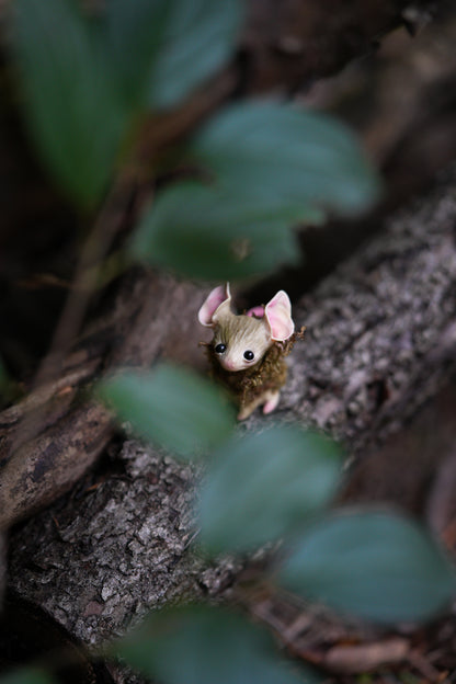 The Moss Mouse