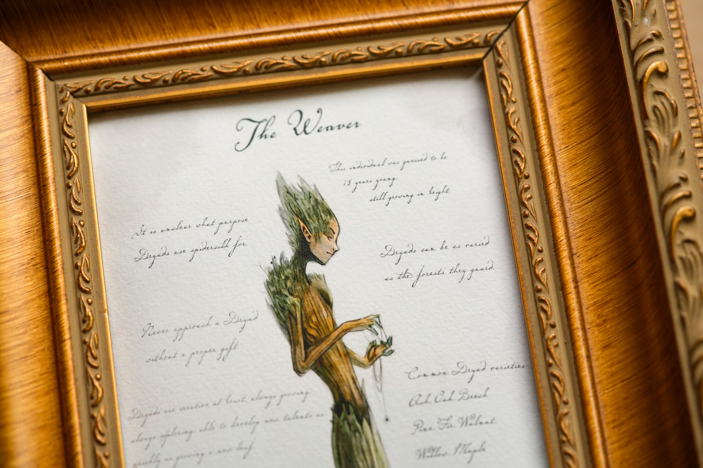 Weaver with Notes - Giclée Art Print