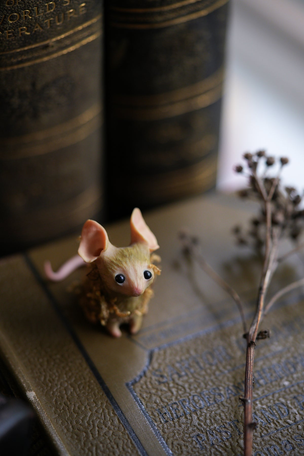 The Moss Mouse