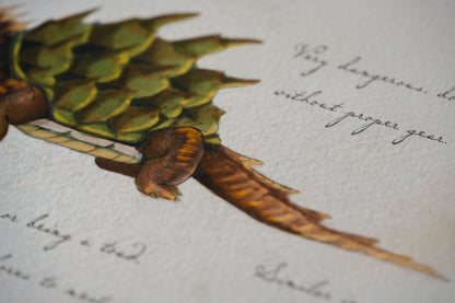 Fire Toad with Notes - Giclée Art Print