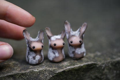 Dust Bunny
