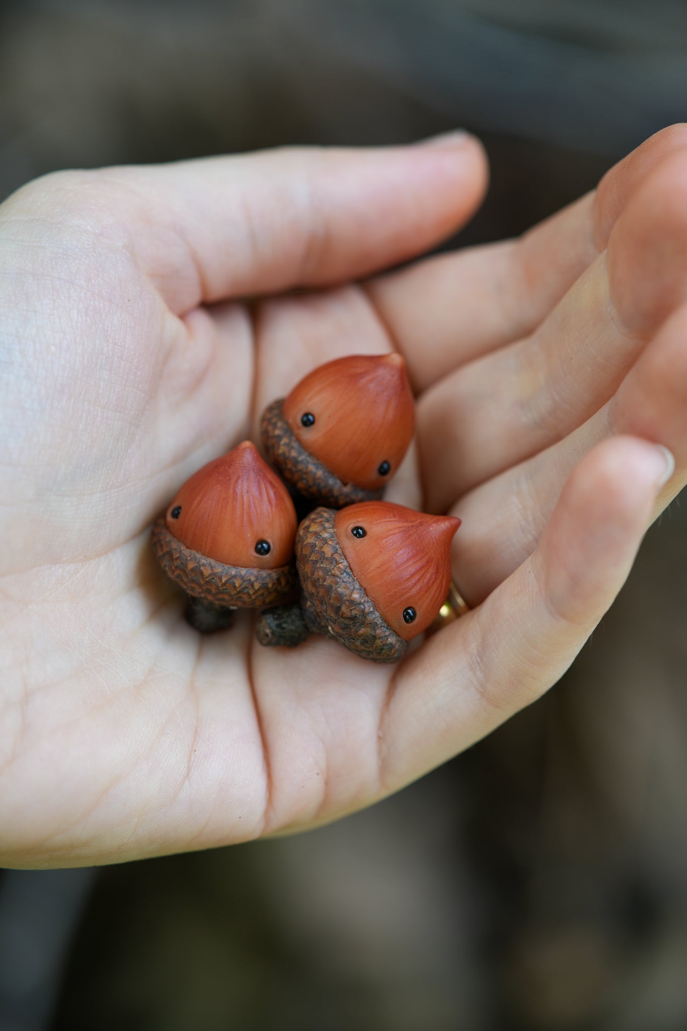 Acorn