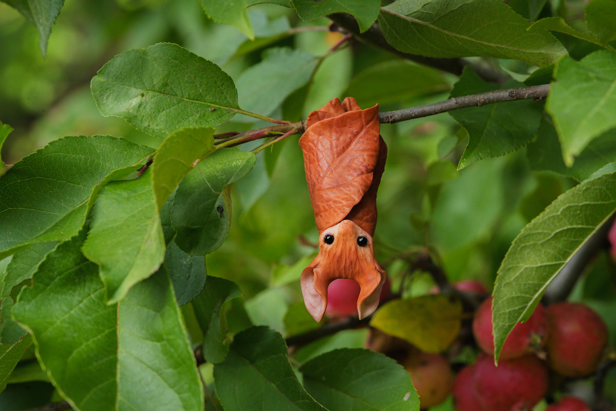 The Leaf Bat
